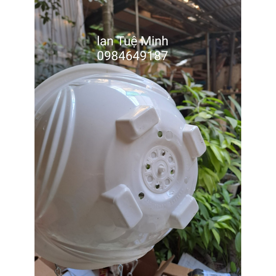 Combo 5 Chậu Chảo Nhựa Treo Dây Xích Trồng Hoa