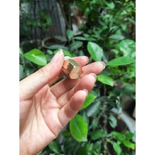 Chân Đế Đồng Chặn Cuối Ngang Lắp Bep Phun Sương Chân Đế Đồng Chặn Cuối Ngang Lắp Bep Phun Sương