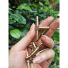 Đuôi Chuột Chữ T Chia 3 Cho Ống Từ 6mm Đến 12mm Đuôi Chuột Chữ T Chia 3 Cho Ống Từ 6mm Đến 12mm
