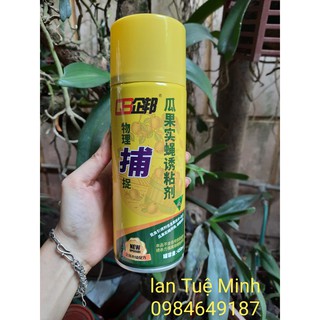 Chai Keo Xịt Bẫy Ruồi Vàng 450 ml Chai Keo Xịt Bẫy Ruồi Vàng 450 ml
