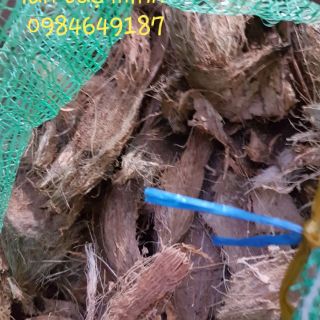 1Kg Xơ Dừa Phơi Khô Xé Dùng Lót Chậu, Trồng Hoa Lan