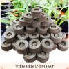 Set 50 Viên Nén Xơ Dừa Để Ươm Hạt Đầy Đủ Dinh Dưỡng