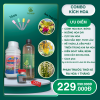 Combo Kích Hoa Ngồng Hoa Dài, Sai Hoa, Màu Đẹp, Cánh Bóng, Lâu Tàn