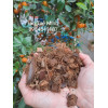 Xơ Dừa Cục Đã Qua Xử Size 1-2cm Lý Cho Cây Cảnh, Phong Lan Xơ Dừa Cục Đã Qua Xử Size 1-2cm Lý Cho Cây Cảnh, Phong Lan