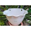 Chậu Ốp Tường Bán Nguyệt Trồng Cây Hoa Treo Tường