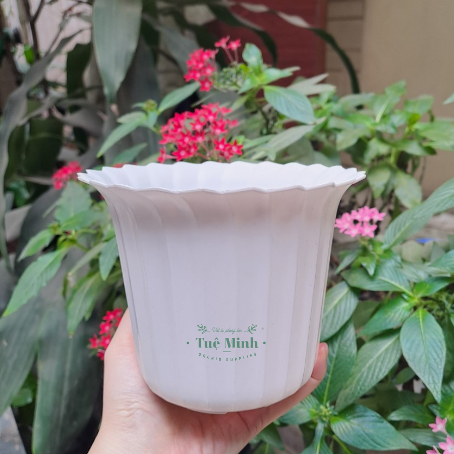Chậu Nhựa Dáng Tròn Xếp Trồng Cây Để Bàn, Sen Đá Chậu Nhựa Dáng Tròn Xếp Trồng Cây Để Bàn, Sen Đá