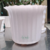 Chậu Nhựa Dáng Tròn Xếp Trồng Cây Để Bàn, Sen Đá Chậu Nhựa Dáng Tròn Xếp Trồng Cây Để Bàn, Sen Đá