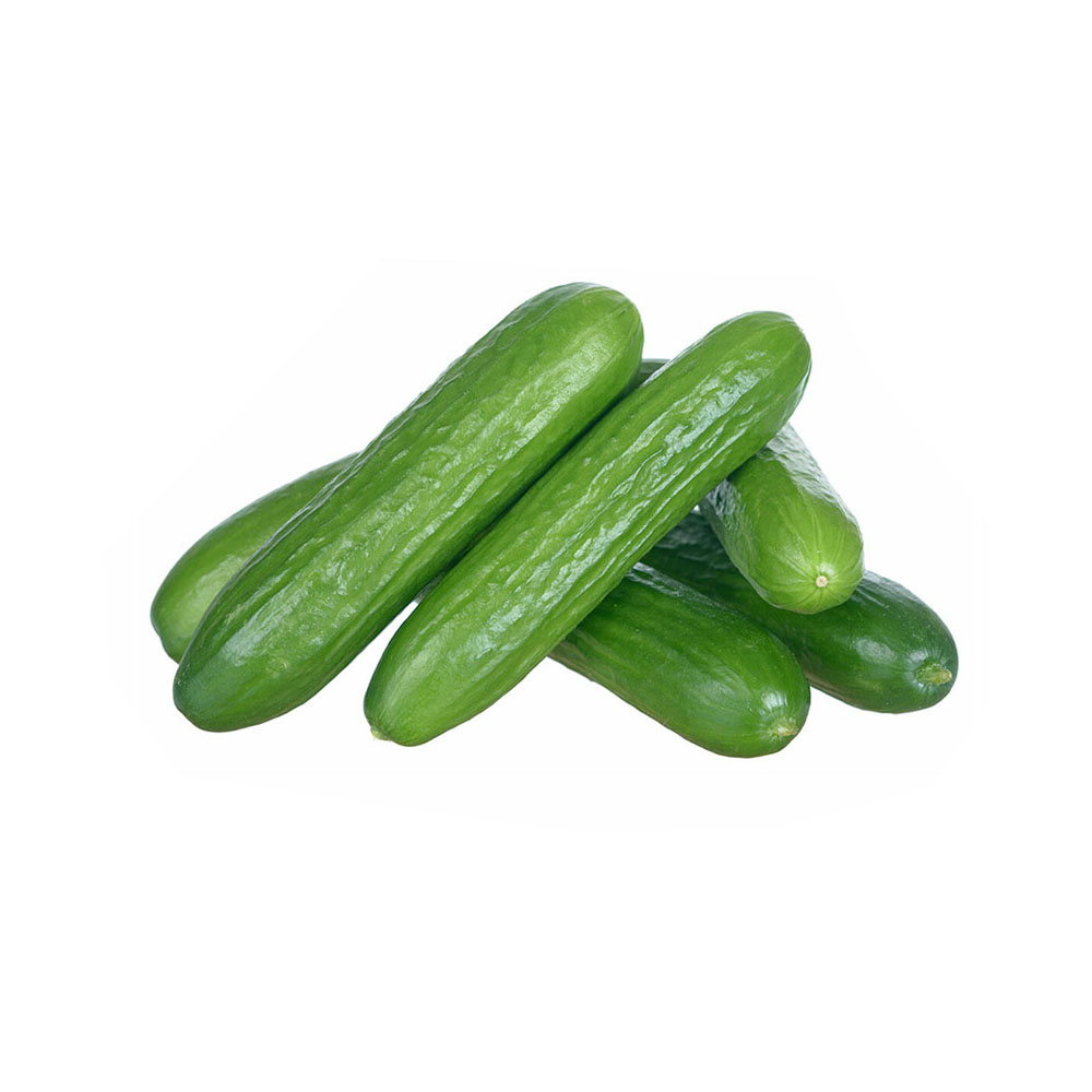 Hạt Giống Dưa Chuột Nếp Ta gói 2g