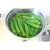 Hạt Giống Đậu Rồng Gói 20g