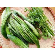 Hạt Giống Quả Lặc Lày (Lặc lè) Gói 2g Hạt Giống Quả Lặc Lày (Lặc lè) Gói 2g