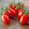 Hạt Giống Cà Chua Bi F1 Gói 0.2g Hạt Giống Cà Chua Bi F1 Gói 0.2g