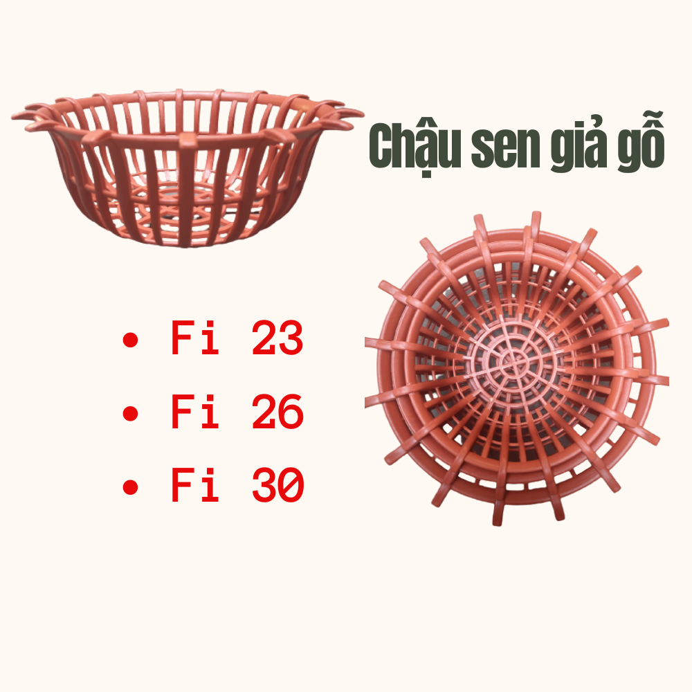 Chậu Nhựa Dáng Sen Trồng Lan Chậu Nhựa Dáng Sen Trồng Lan
