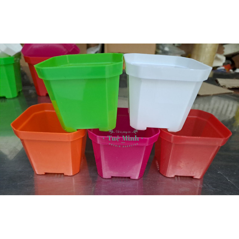 Chậu Nhựa Trồng Sen Đá, Xương Rồng, Cây Để Bàn Chậu Nhựa Trồng Sen Đá, Xương Rồng, Cây Để Bàn