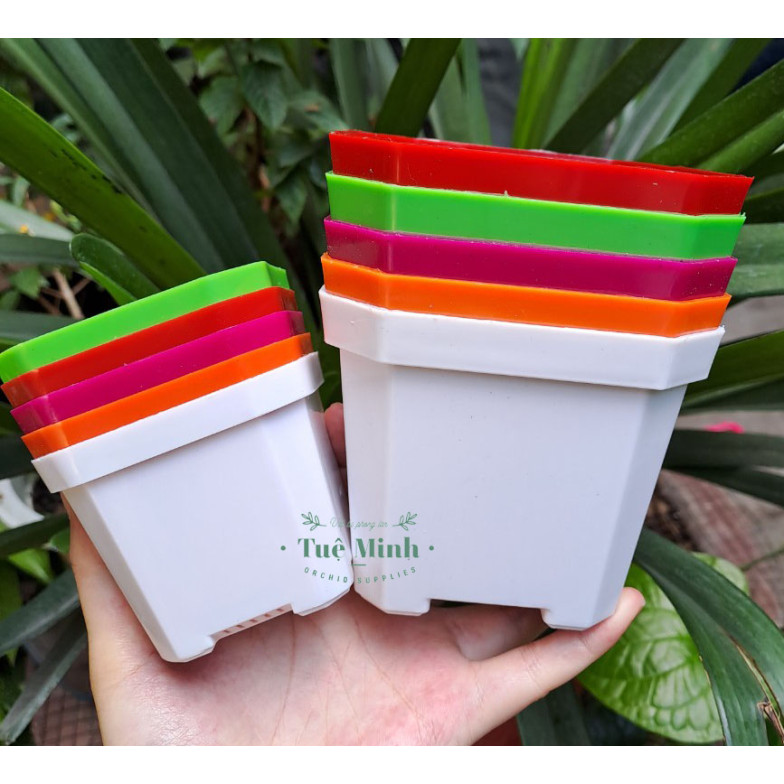 Chậu Nhựa Trồng Sen Đá, Xương Rồng, Cây Để Bàn Chậu Nhựa Trồng Sen Đá, Xương Rồng, Cây Để Bàn