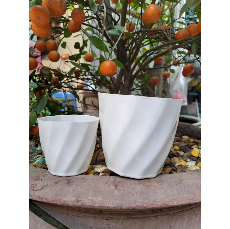 Chậu Nhựa Dáng Tròn Xoắn Trồng Cây Để Bàn, Cây Ban Công Chậu Nhựa Dáng Tròn Xoắn Trồng Cây Để Bàn, Cây Ban Công