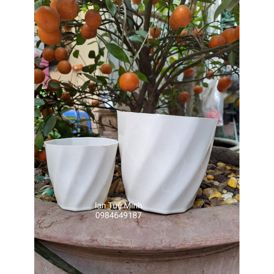 Chậu Nhựa Dáng Tròn Xoắn Trồng Cây Để Bàn, Cây Ban Công Chậu Nhựa Dáng Tròn Xoắn Trồng Cây Để Bàn, Cây Ban Công