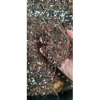 (FREESHIP + QUÀ) 10kg Giá Thể Hỗn Hợp Trộn Sẵn Trồng Lan Cao Cấp Đã Qua Xử Lý