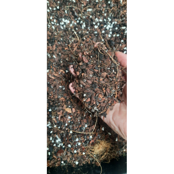 1kg Giá Thể Hỗn Hợp Trộn Sẵn Trồng Lan Cao Cấp Đã Qua Xử Lý