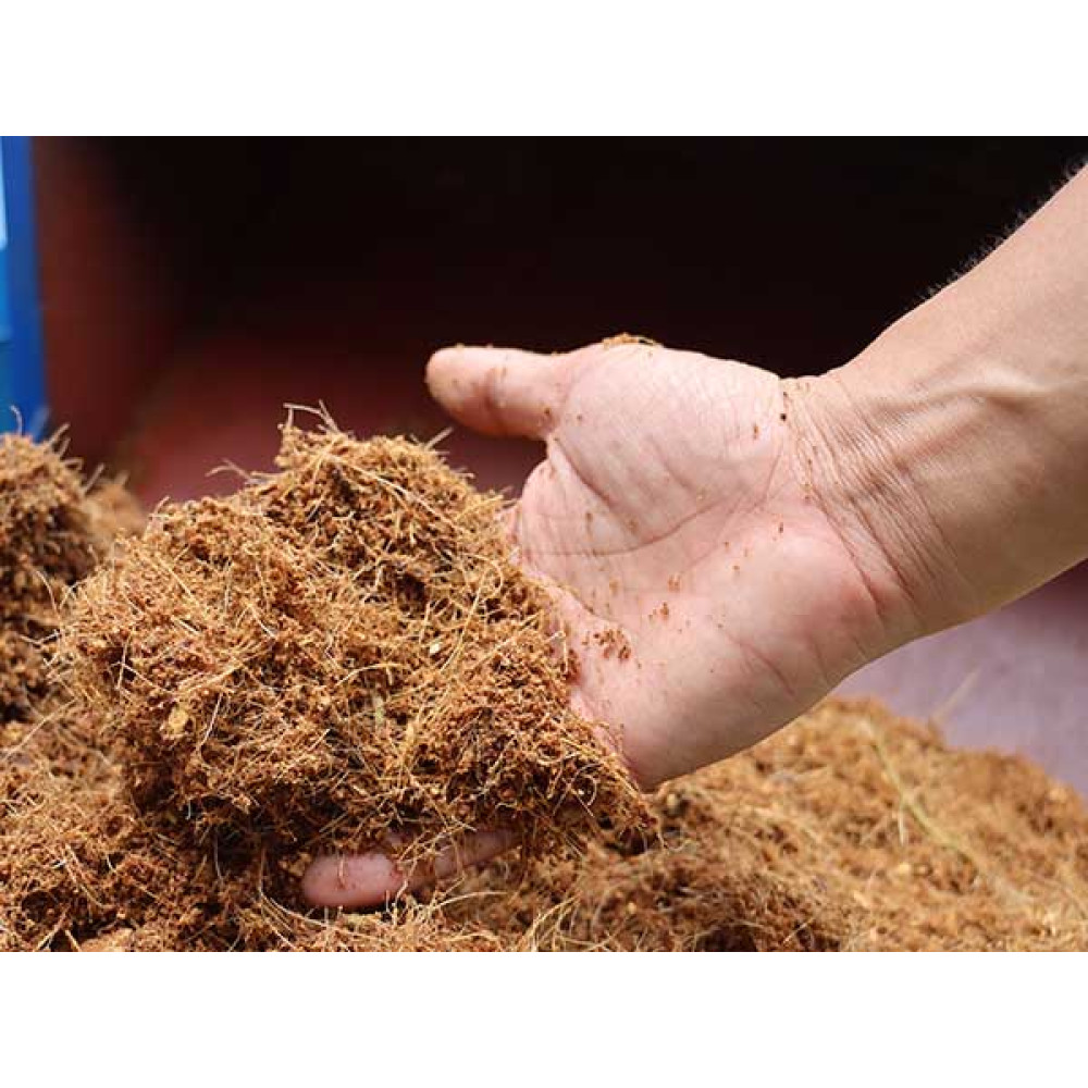 1Kg Mùn xơ dừa đã qua xử lý phù hợp trồng hoa lan rau mầm, cây cảnh...