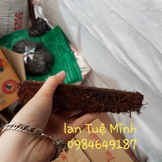 Bảng Dớn Trồng Lan Nhiều Kích Thước Bảng Dớn Trồng Lan Nhiều Kích Thước