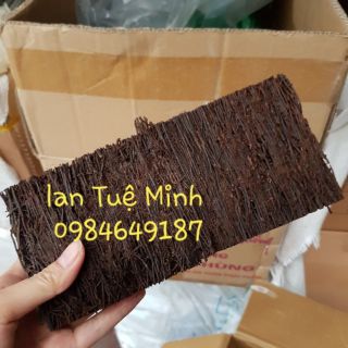 Bảng Dớn Trồng Lan Nhiều Kích Thước Bảng Dớn Trồng Lan Nhiều Kích Thước