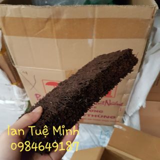Bảng Dớn Trồng Lan Nhiều Kích Thước Bảng Dớn Trồng Lan Nhiều Kích Thước