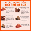 Bánh Nén Xơ Dừa 500gr, Đã Qua Xử Lý, Giá Thể Mụn Dừa Trộn Đất Trồng Rau, Củ, Quả
