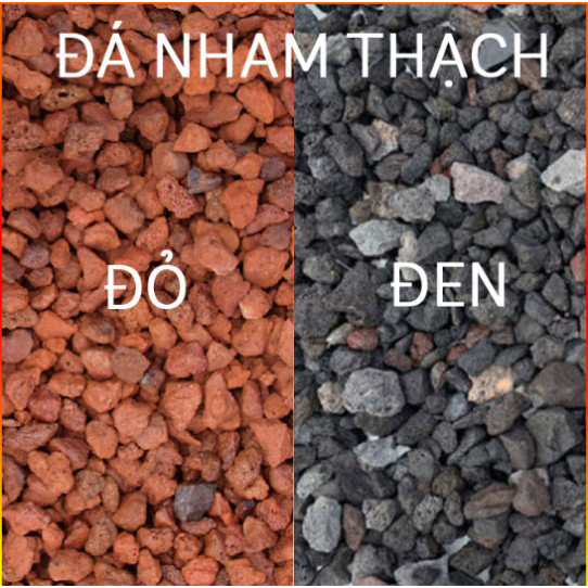 1kg Đá Nham Thạch Lava Đỏ/ Đen Trồng Sen Đá, Xương Rồng, Bonsai, Bể Thủy Sinh... 1kg Đá Nham Thạch Lava Đỏ/ Đen Trồng Sen Đá, Xương Rồng, Bonsai, Bể Thủy Sinh...