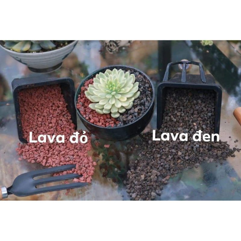 1kg Đá Nham Thạch Lava Đỏ/ Đen Trồng Sen Đá, Xương Rồng, Bonsai, Bể Thủy Sinh... 1kg Đá Nham Thạch Lava Đỏ/ Đen Trồng Sen Đá, Xương Rồng, Bonsai, Bể Thủy Sinh...