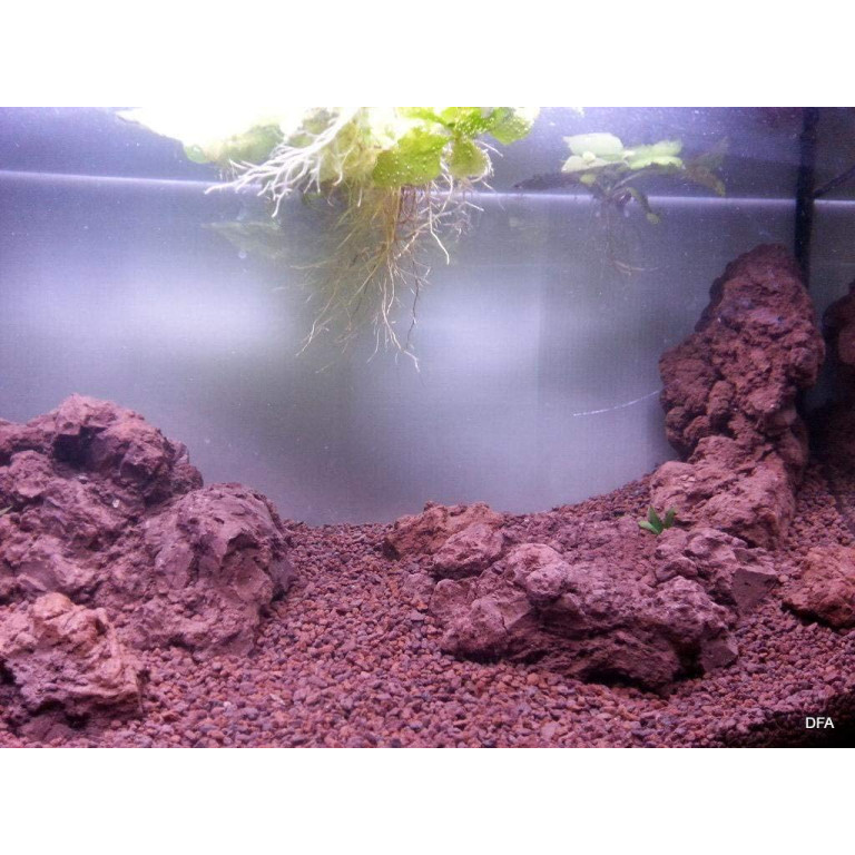 1kg Đá Nham Thạch Lava Đỏ/ Đen Trồng Sen Đá, Xương Rồng, Bonsai, Bể Thủy Sinh... 1kg Đá Nham Thạch Lava Đỏ/ Đen Trồng Sen Đá, Xương Rồng, Bonsai, Bể Thủy Sinh...