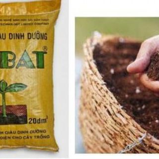 Đất Sạch Tribat