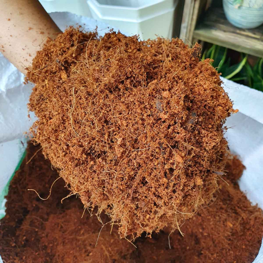 1Kg Mùn xơ dừa đã qua xử lý phù hợp trồng hoa lan rau mầm, cây cảnh...