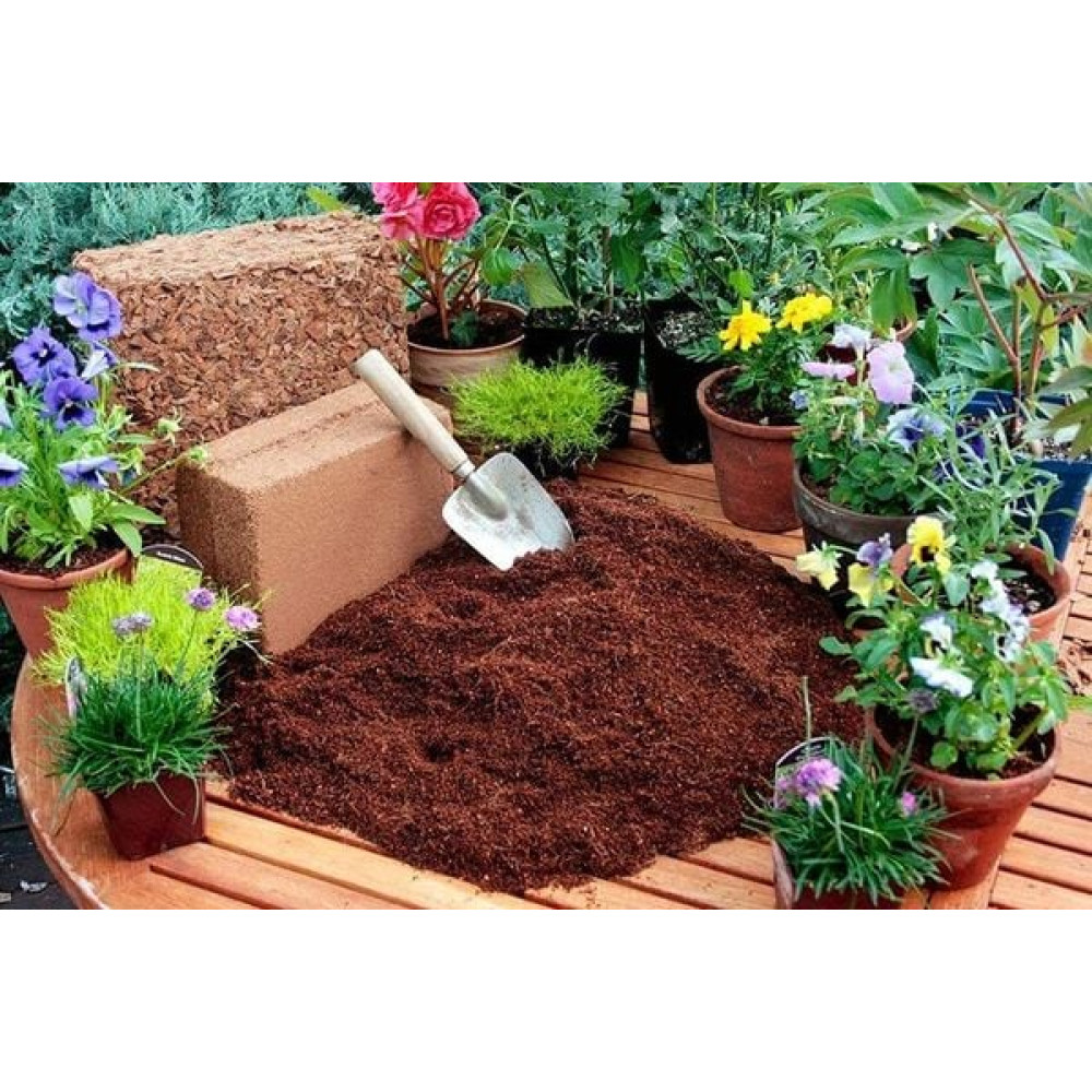 1Kg Mùn xơ dừa đã qua xử lý phù hợp trồng hoa lan rau mầm, cây cảnh...