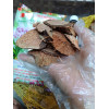 1kg Giá thể sọ dừa già - đã xử lý Trichodema 