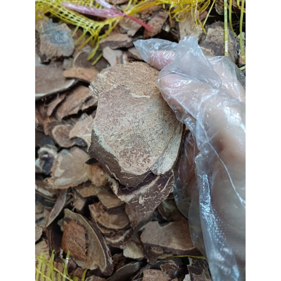 1kg Giá thể sọ dừa già - đã xử lý Trichodema 