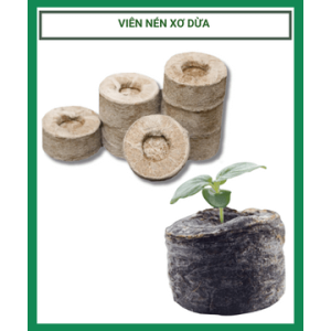 Set 50 Viên Nén Xơ Dừa Để Ươm Hạt Đầy Đủ Dinh Dưỡng Set 50 Viên Nén Xơ Dừa Để Ươm Hạt Đầy Đủ Dinh Dưỡng