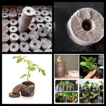 Set 50 Viên Nén Xơ Dừa Để Ươm Hạt Đầy Đủ Dinh Dưỡng