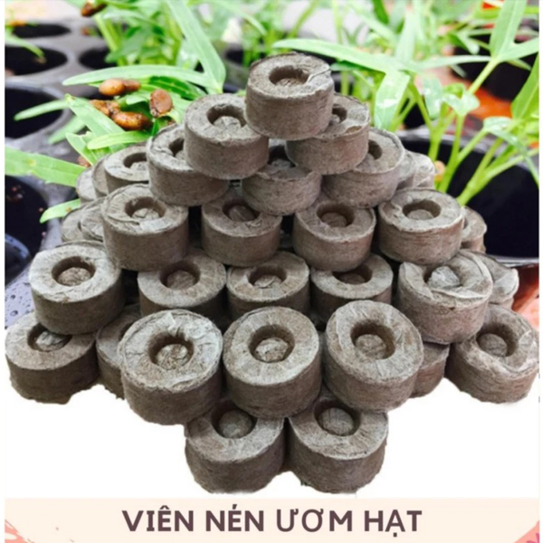 Set 50 Viên Nén Xơ Dừa Để Ươm Hạt Đầy Đủ Dinh Dưỡng