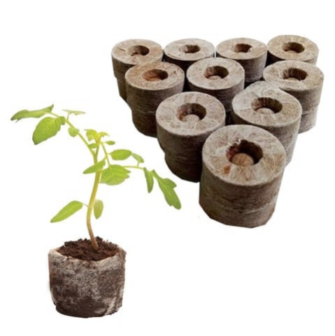 Set 50 Viên Nén Xơ Dừa Để Ươm Hạt Đầy Đủ Dinh Dưỡng