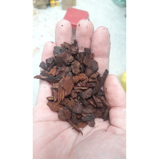 1kg Vỏ Thông Đã Được Đánh Cạnh Tròn, Dày Dặn Đã Qua Xử Lý 