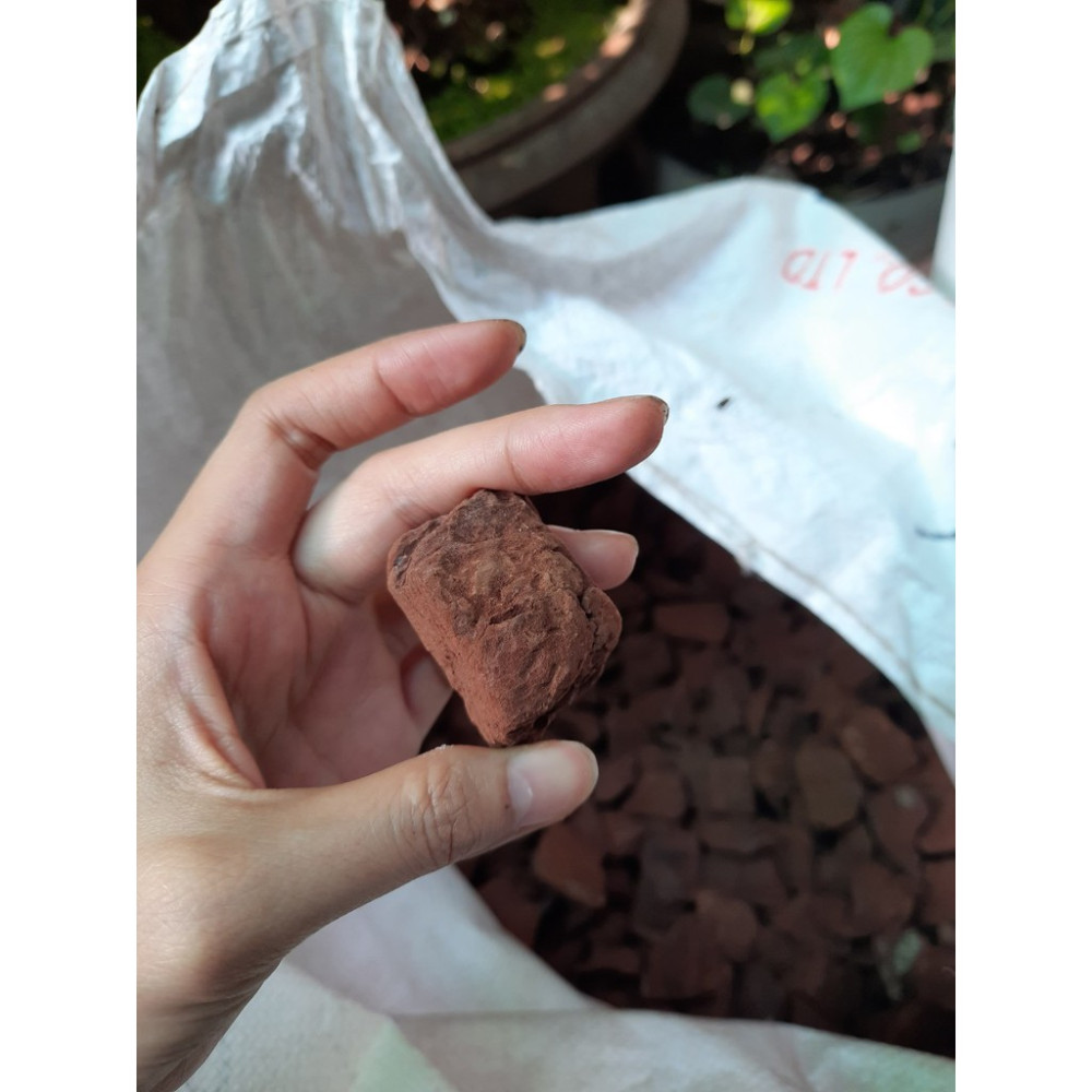 1kg Vỏ Thông Đã Được Đánh Cạnh Tròn, Dày Dặn Đã Qua Xử Lý 