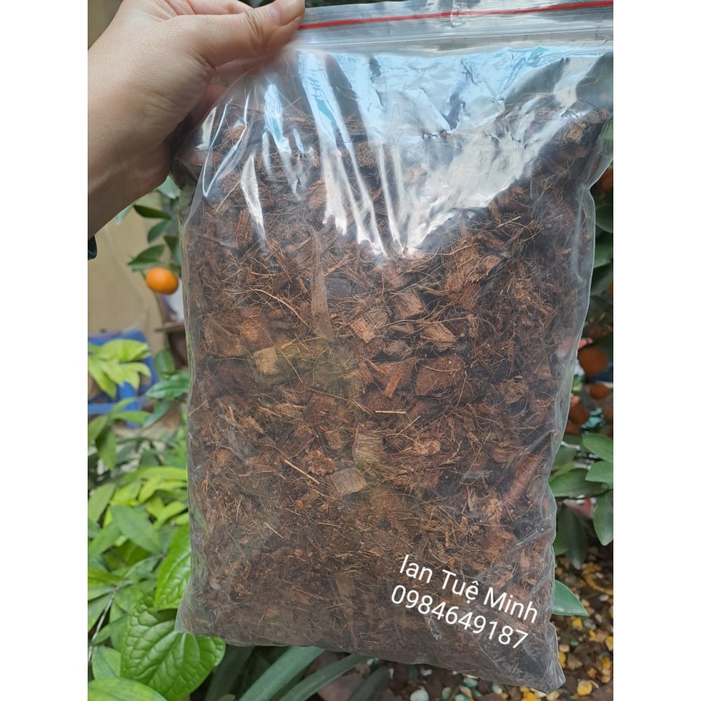 Xơ Dừa Cục Đã Qua Xử Size 1-2cm Lý Cho Cây Cảnh, Phong Lan Xơ Dừa Cục Đã Qua Xử Size 1-2cm Lý Cho Cây Cảnh, Phong Lan