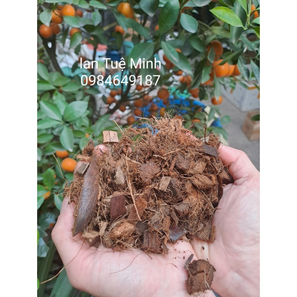 Xơ Dừa Cục Đã Qua Xử Size 1-2cm Lý Cho Cây Cảnh, Phong Lan Xơ Dừa Cục Đã Qua Xử Size 1-2cm Lý Cho Cây Cảnh, Phong Lan