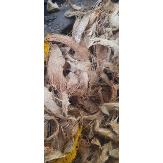 100g Xơ Dừa Phơi Khô Xé Dùng Để Lót Chậu, Trồng Hoa Lan 100g Xơ Dừa Phơi Khô Xé Dùng Để Lót Chậu, Trồng Hoa Lan
