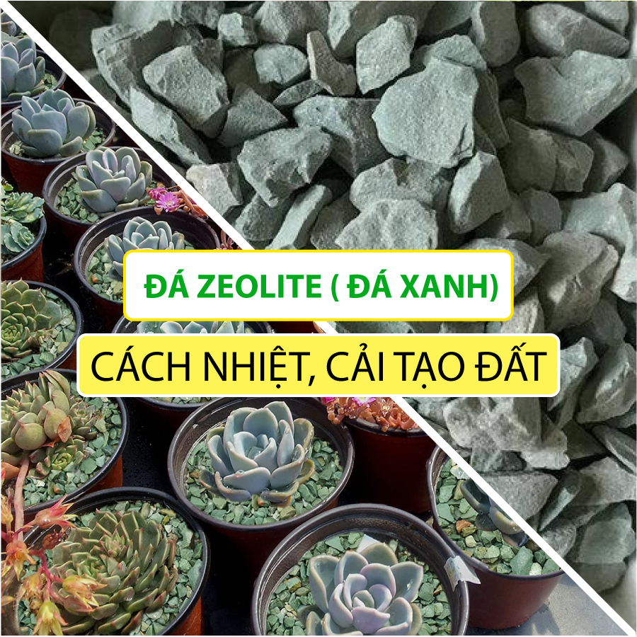 Đá Khoáng ZEOLITE STONE 3-6mm Tự Nhiên (Đất Sét Khoáng Xanh) Rải Mặt Chậu Cây, Trộn Giá Thể Sen Đá Đá Khoáng ZEOLITE STONE 3-6mm Tự Nhiên (Đất Sét Khoáng Xanh) Rải Mặt Chậu Cây, Trộn Giá Thể Sen Đá