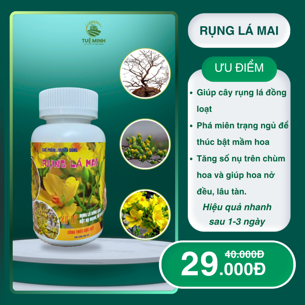Chế phẩm Rụng lá mai đồng loạt lọ 50gr – bật nụ mạnh, nở hoa đều