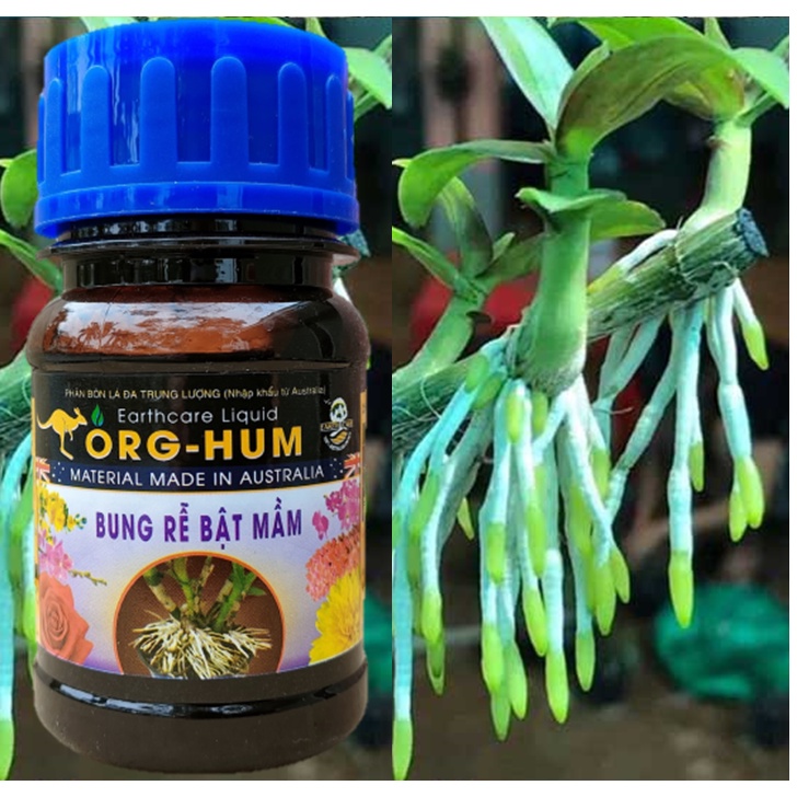 Phân Bón Org-Hum Ra Rễ Bật Mầm 100ml Phân Bón Org-Hum Ra Rễ Bật Mầm 100ml