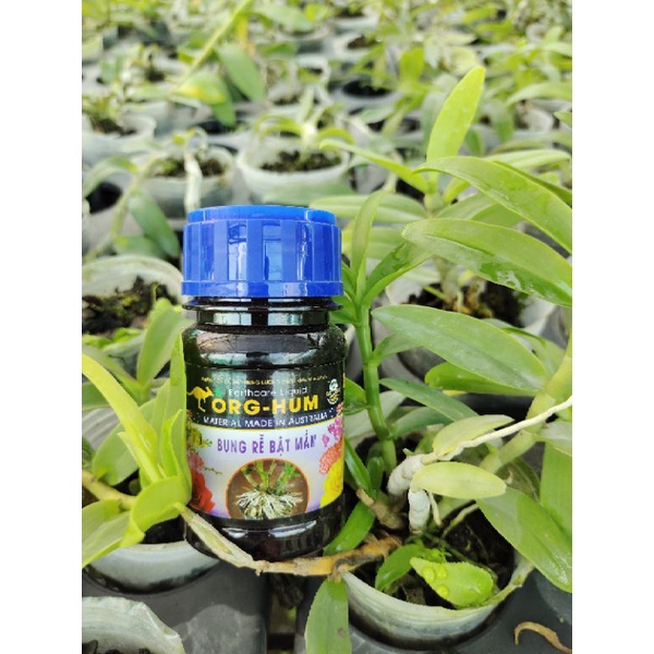 Phân Bón Org-Hum Ra Rễ Bật Mầm 100ml Phân Bón Org-Hum Ra Rễ Bật Mầm 100ml