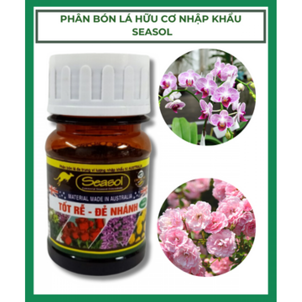 Phân Bón Tảo Biển Seasol 100ml Phân Bón Tảo Biển Seasol 100ml