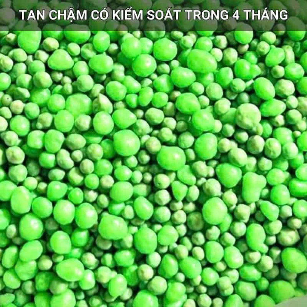 Phân Tan Chậm Rynan 230, Hũ 150gr